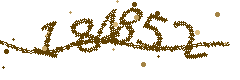 Image with the verification code