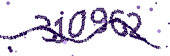 Image with the verification code