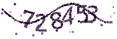 Image with the verification code