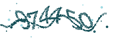 Security verification code
