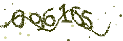 Image with the verification code