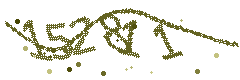 Image with the verification code