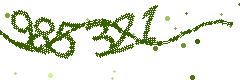Image with the verification code