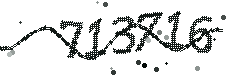 Image with the verification code