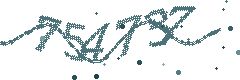 Security verification code