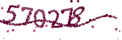 Image with the verification code