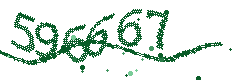 Image with the verification code
