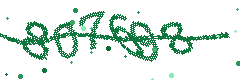 Image with the verification code
