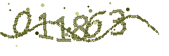 Image with the verification code