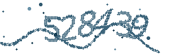 Image with the verification code