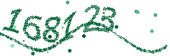 Image with the verification code
