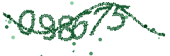Image with the verification code