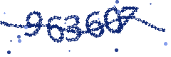 Security verification code