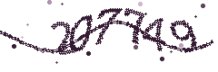 Image with the verification code