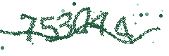 Image with the verification code