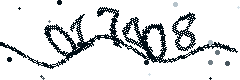 Image with the verification code