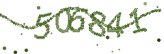 Image with the verification code