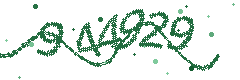 Security verification code