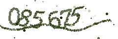 Image with the verification code