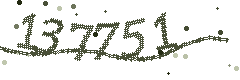 Image with the verification code