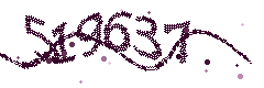 Image with the verification code