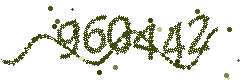 Image with the verification code