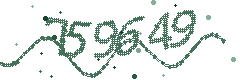 Image with the verification code