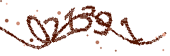 Image with the verification code
