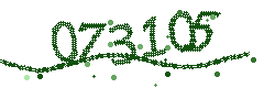 Security verification code