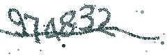 Image with the verification code