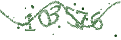 Image with the verification code