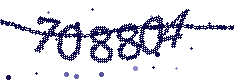 Image with the verification code