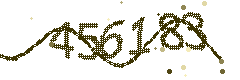 Image with the verification code