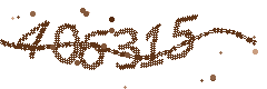 Image with the verification code