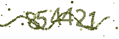 Image with the verification code