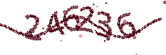 Image with the verification code