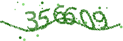 Image with the verification code