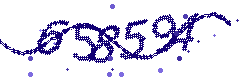 Security verification code