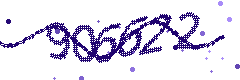 Security verification code