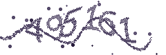 Image with the verification code