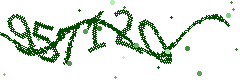 Image with the verification code