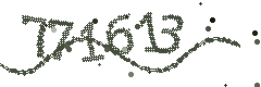 Image with the verification code