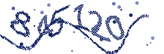 Security verification code