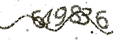 Image with the verification code