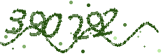 Image with the verification code