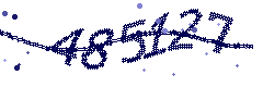 Image with the verification code