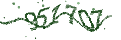 Image with the verification code