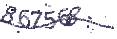 Image with the verification code
