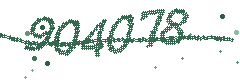 Security verification code