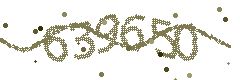 Image with the verification code